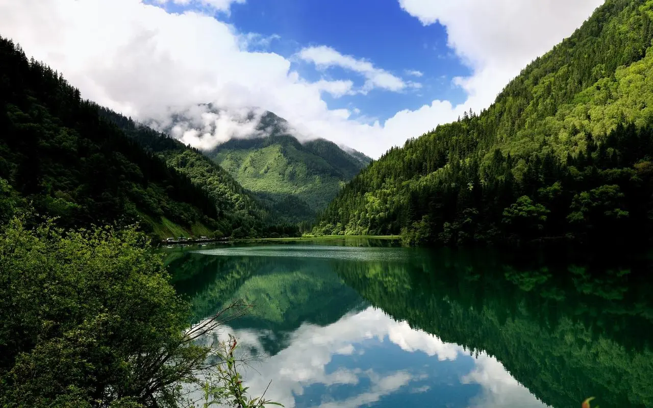 高效智能系统高端